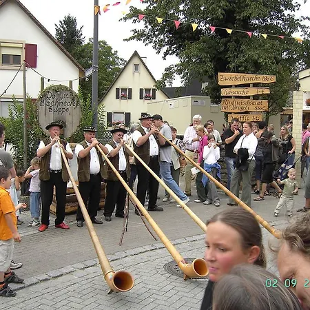 Lejlighed Klein Pfaffenweiler