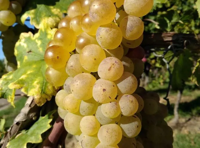 Fewo Klein Apartment *